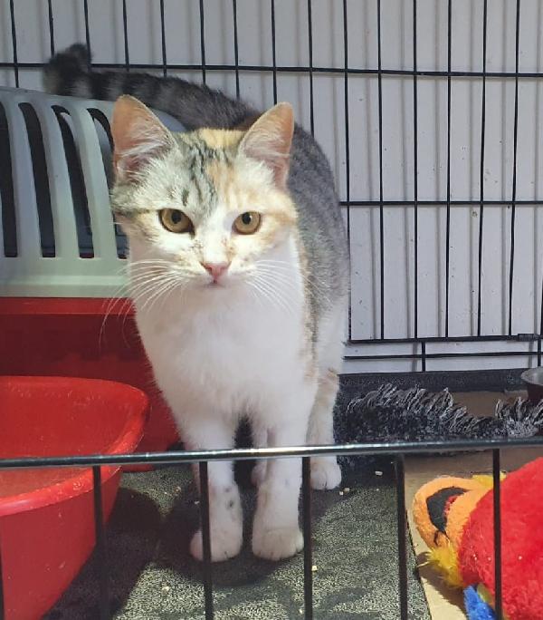 Guenda Vuole Una Mamma Per Sempre!